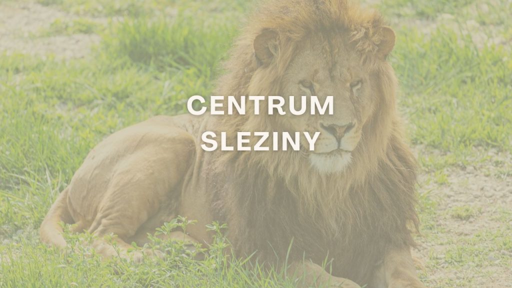 aktivacni pribehy centrum sleziny